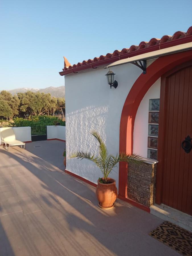 Villa Ampelia Sitia  Exterior photo